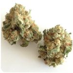 Шишки "White Widow"  (Белая вдова)  Гидропоника -  Бошка VHQ в Солигаличе